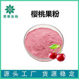 樱桃果粉 针叶樱桃粉 水溶性  樱桃汁粉 固体饮料代餐粉