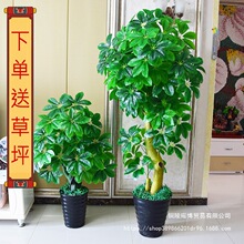 �lؔ����X�����ԾGֲ�͏d�b�����ؾGֲ�����辰�Gֲ����ֲ�q