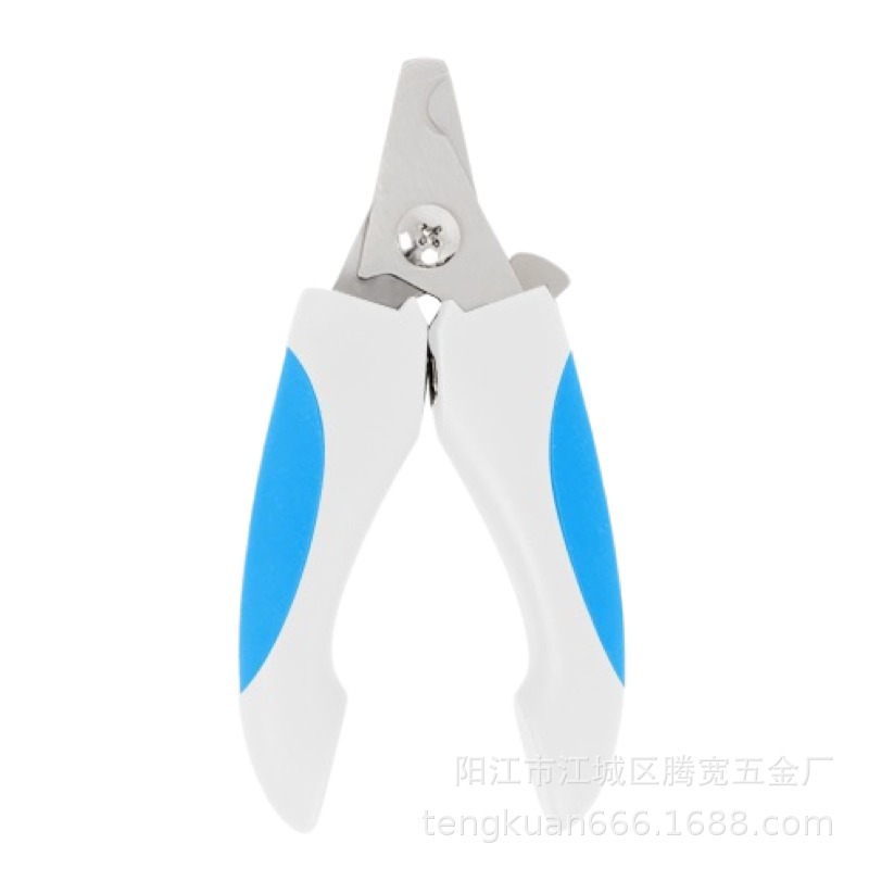 작은 흰색 파란색