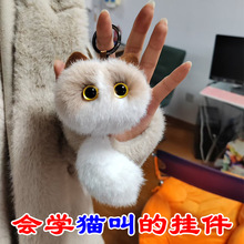 ��؛���t����؈���_؈����ë�q耳׿ۿɐە��������������ż