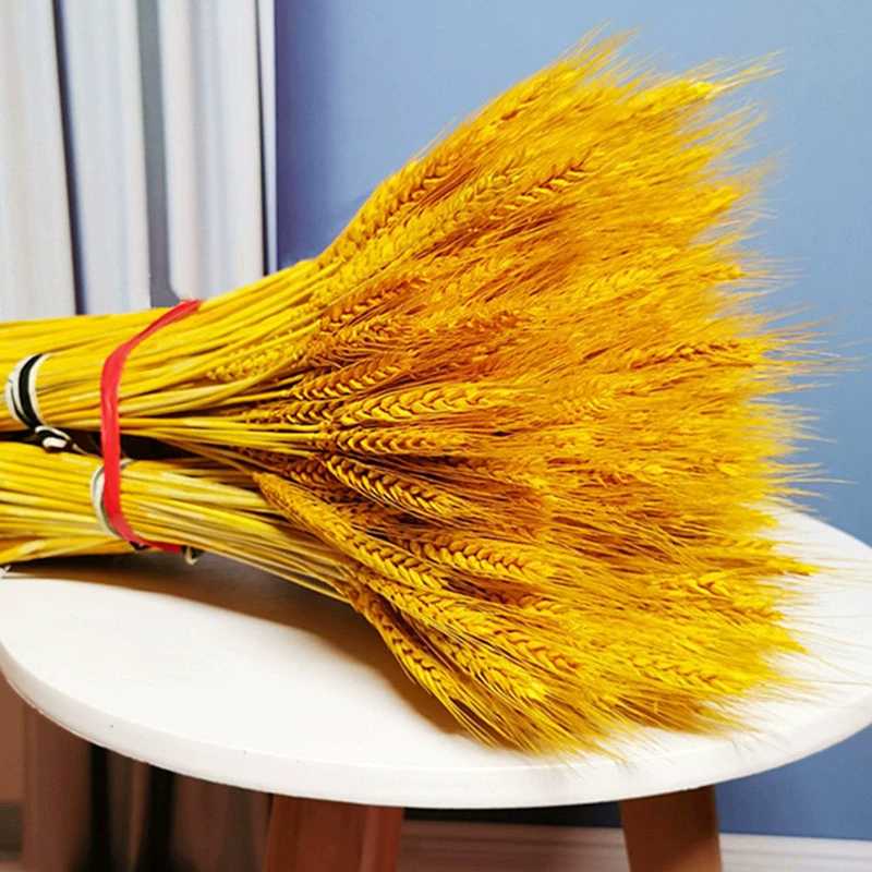 Моделирование сушеных цветов ячмень пшеница уха открытие Цветочная корзина украшение оптом сушеный цветок Золото Пшеница уха Фабрика Прямые почтовые расходы