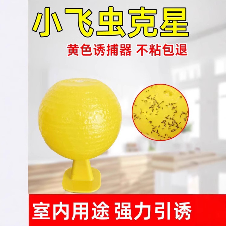 Hot-Selling Indoor Insect Trap for Fruit Flies and Flies, Powerful Sticky Trap for Fruit Shops, Kitchens, and Bathrooms
