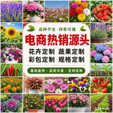 �羳͸��С���b�ǹ����N�Ӳݻ��߲˻��ܷ�ڃ�ͯ�YƷٛ�͌W�����