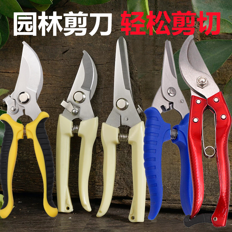 果树修枝剪树枝专用花艺花卉枝剪子剪枝园林工具花剪修剪园艺剪刀