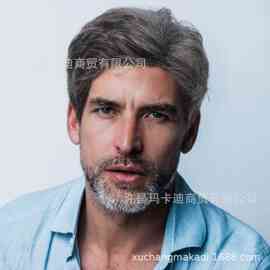 欧美男士假发wigs中老年短款全头套假发许昌源头工厂假发现货批发