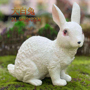�羳С����ܛ�z������ߴ�̖����ģ�ͷ�����﹫�м��������ؔ�