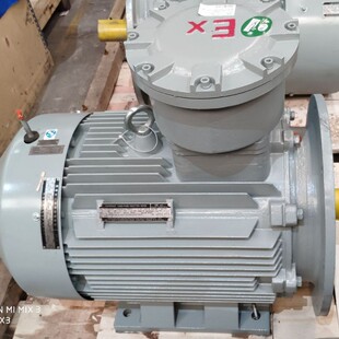 ��ꖷ���늙CYE4-160M-4-11 KW IE4����Ч늙C����΢������IE3