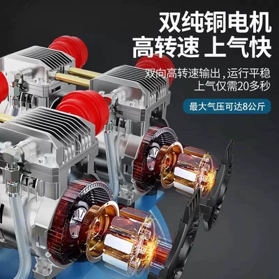 Hava kompressorları: Air Compressor Woodworking Spray