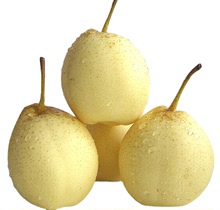 廠家批發 鴨梨pear  皇冠梨 價格美麗 歡迎咨詢