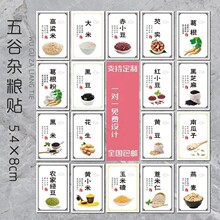 ����s�Z�N��Ŵ��С�׻������N�S���G�����ײ���ײ����z�˺�