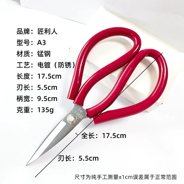 Craftsman's slot shears A03