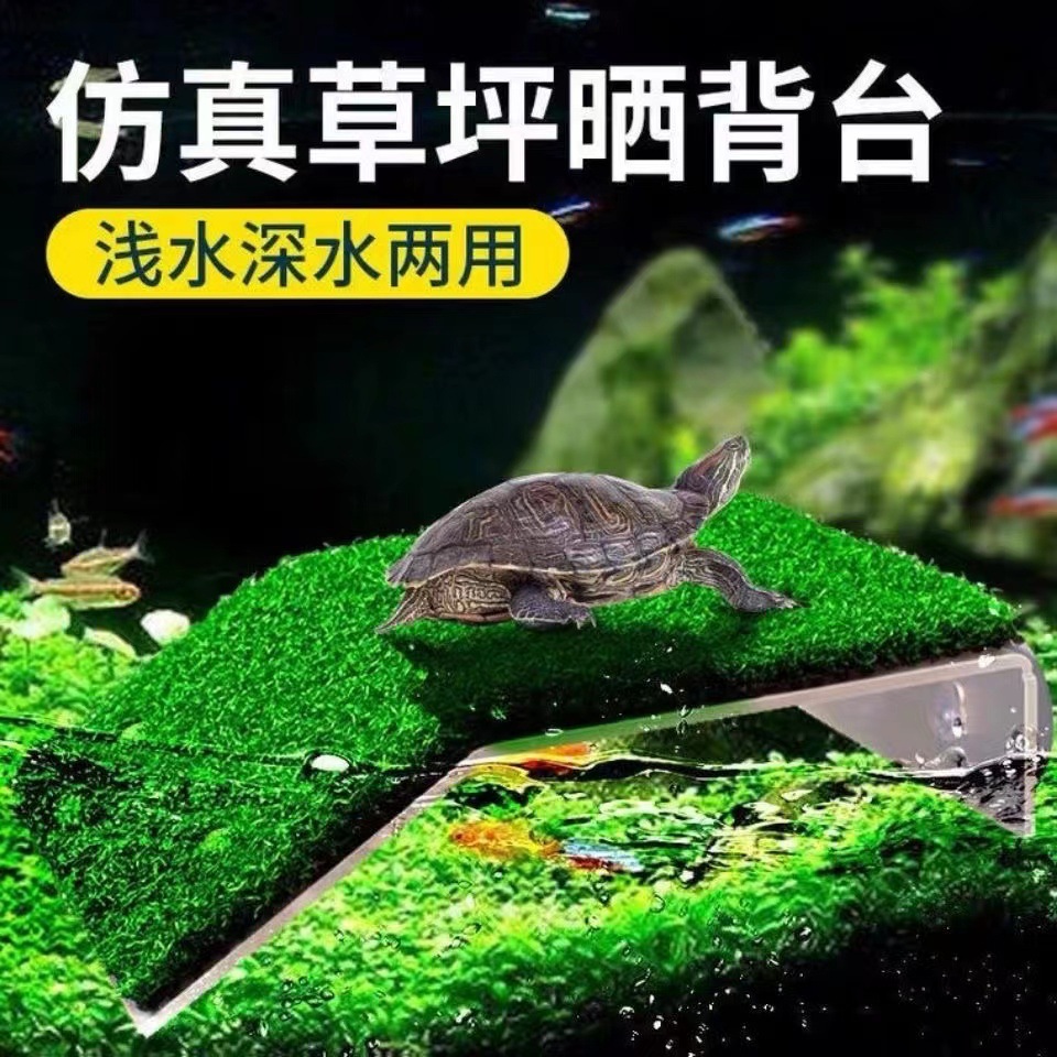 Plataforma de secado de tortuga plataforma de escalada tanque de peces tanque de tortuga plataforma de escalada simulación césped plataforma de tortuga resto agua flotante de secado