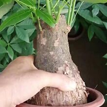 ��ðlؔ���҃�������ؔ���k���ҿ͏d��լ��ؔ�Gֲ�ļ����B���