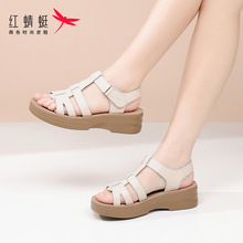 红蜻蜓女鞋罗马凉鞋女夏季新款配裙子平底真皮镂空防滑猪笼鞋夏天