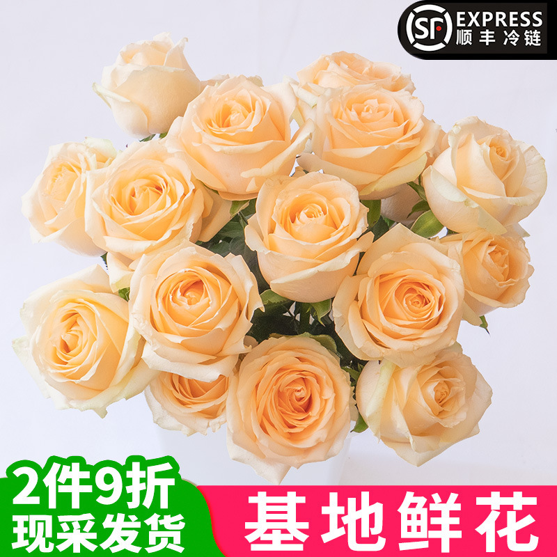 香槟玫瑰鲜花花束云南基地直发向日葵百合家用水养鲜切花同城速递