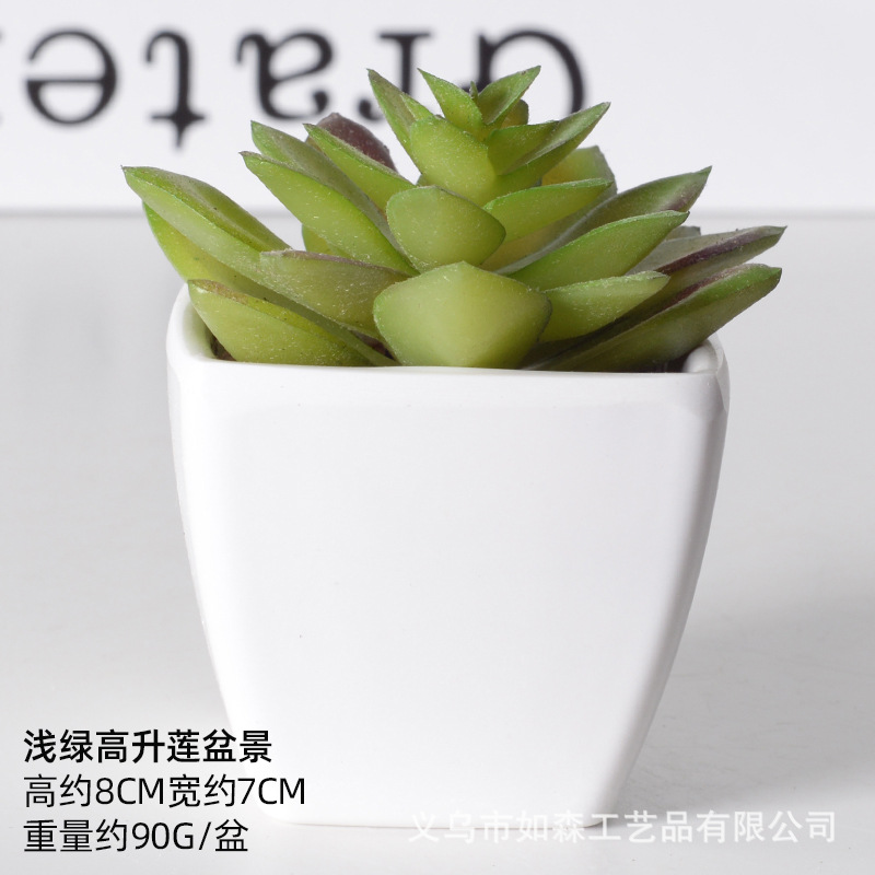 Simulación de plástico carnoso bonsai flor falsa combinación oficina interior escritorio plantas verdes pequeños adornos plantas artificiales al por mayor image 41