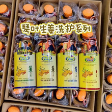 琴叶生姜洗发水防脱去屑滋润蓬松老姜汁疗发强根保养焗油发膜