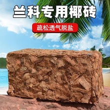 Ҭ�u�����m�m���N������I�B�����w��Ҭ���uҬ�������|�ķN�ˈ@ˇ