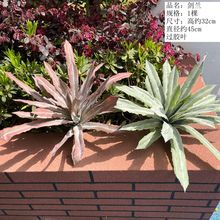 �������M�Ϸ���ɳĮ�쾰�M�������m���X�����������Ʒ���Gֲ