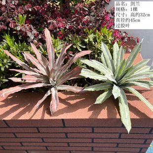 �������M�Ϸ���ɳĮ�쾰�M�������m���X�����������Ʒ���Gֲ