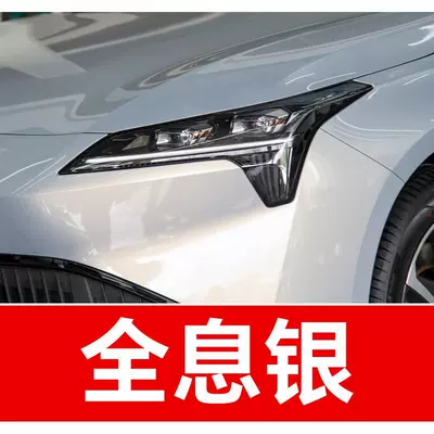 Avtomobil boya qələmləri — car touch-up paint pen, for Aion Y - buy-one-get-two-1-coat-of-color-paint-1-coat-of-brightening-polish-plus-a-free-tool-kit-cleaning-cotton-and-brush-tips-holographic-silver