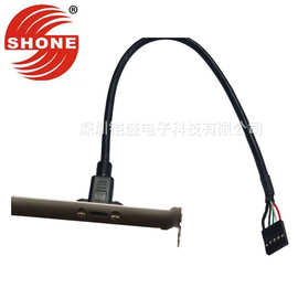 工厂直销USB2.0 9针转typec母 带挡板扩展线杜邦9Pin转TYPE-C母延