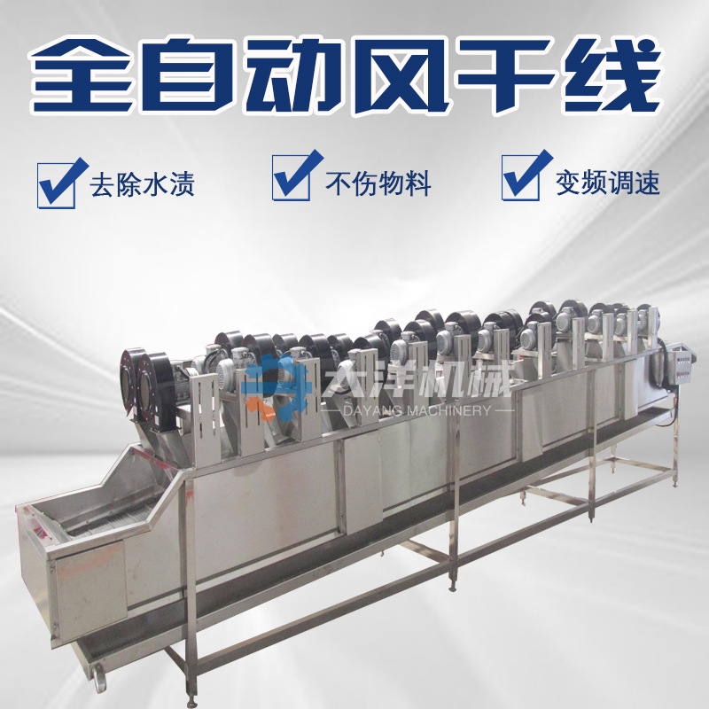 全自动大枣风干线可调速自动翻转型冬枣吹干线FG型蔬菜风力脱水机
