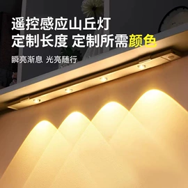LED支架灯;小夜灯;LED日光灯