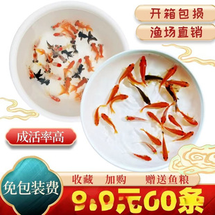 ��ˮС���~�^�p�~���N�\���~С�^�p�~�ͻ���ˮ�~��t���~