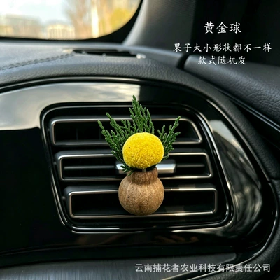 High-End Diffuser Car Gift Car – Car Perfume Aromatherapy - golden-ball-gulu-fruit-car-style-free-essential-oil