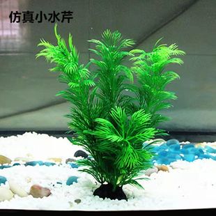 �~���b� ����ˮ�� ˮ���쾰��ˮ���b� ������ܛ�GɫС��ˮ��