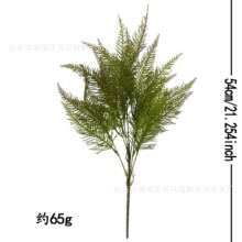 ���l����Gֲ7�^�֦��ɫ����ɼ�m��춿͏d�͏d����[���b���