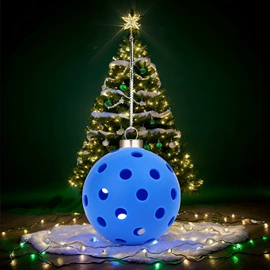 狗狗食具;宠物挂牌;宠物项圈