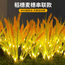 ��������ز��LED�b��^������Ƶ����޻��@ͥԺ��ƺ��̫���