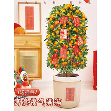 ��ۘ������������͏d���;Gֲ���Ә��玧���l؛��ʳ���ļ����B��