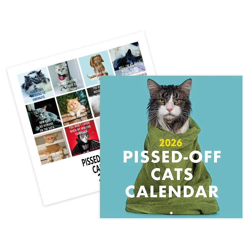 Кросс-бортные новые продукты 2026 календарь злого кота Angry Cat Calendar Horseback Stud Style Spot