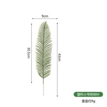 羳Gֲ c廨bF~zӰɢβ