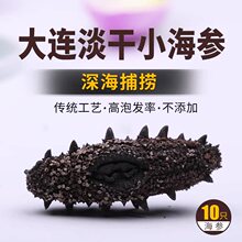 野生大连淡干小海参干货礼盒迷你非即食海生海渗海叁辽参刺参