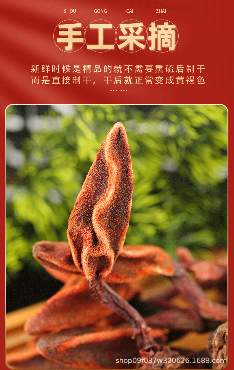 Hui Chun Cao Dried Herb 500g Yunnan Highland Huichuncao Whole Herb for Herbal Wine Infusion in use