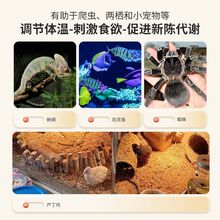 usb�ӟ�|�W�^���،������x��ů�|�ԄӐa���Bؿ�����늌�����