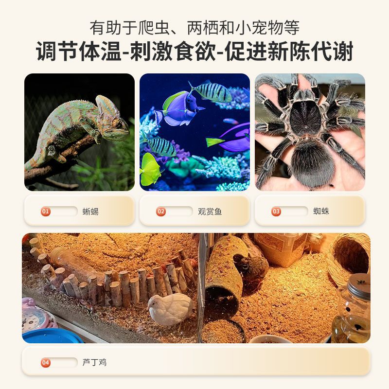 USB Heating Pad Parrot Insulation Pet Reptile Heating Pad Automatic Constant Temperature Bird Thermostat Power Bank Dedicated