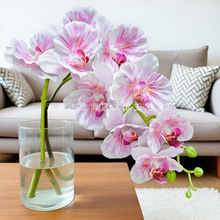 新款3D打印9头爆炸蝴蝶兰仿真花家居客厅装饰花酒店前台橱窗摆件