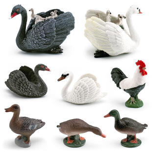 Simulation poultry animal model green head duck Black Swan black and white rooster foraging gray duck children's decorative decoration toy