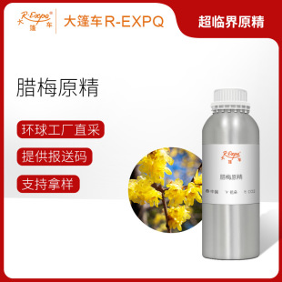 �D÷ԭ�� Chimonanthus Praecox ���ͷ����o��ԭ�����l����܇����
