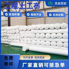 涤纶聚酯纤维土工布针刺棉道路工程养护补强白色短纤无纺布土工布