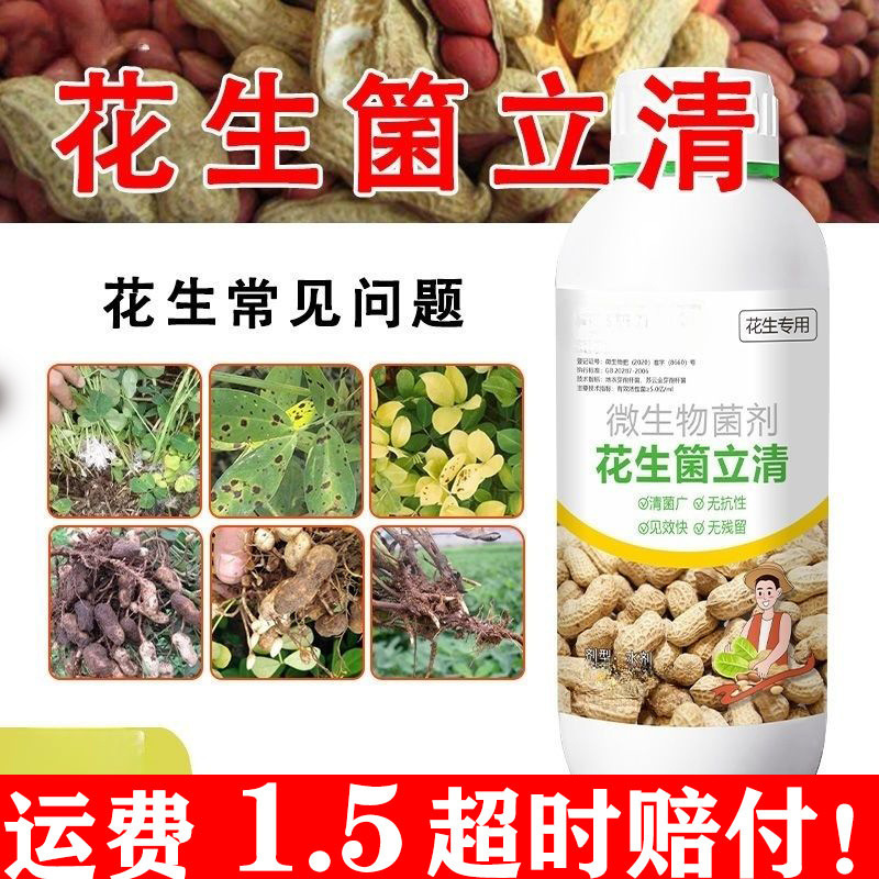 Special Microbial Agent for New Peanuts, It Helps to Root and Strengthen Seedlings, Prevent Root Rot, Leaf Spot, and Leaf Burn Special Microbial Agent for New Peanuts, It Helps to Root and Strengthen Seedlings, Prevent Root Rot, Leaf Spot, and Leaf Burn