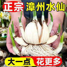 �ذ�ˮ�ɻ��N��ˮ�B�����ﶬ�_����ֲ���҃Ȼ��Gֲˮ���B������