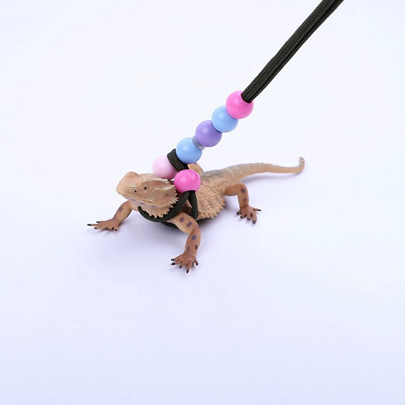 Амазонка ящерица Тяговый канат восхождение Pet Out Тяговый ремень прогулочная ящерица веревка для маленьких домашних животных Тяговый канат маленький кролик Тяговый канат