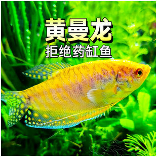 �S�����Ꭷ�~��ˮ�~������С���^�p�~�����~���{�����~���B�ͻ�