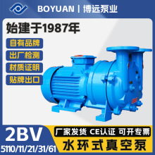 2BV水环真空泵5110/11/21/31/61铸铁304水循环博远泵业高效节能